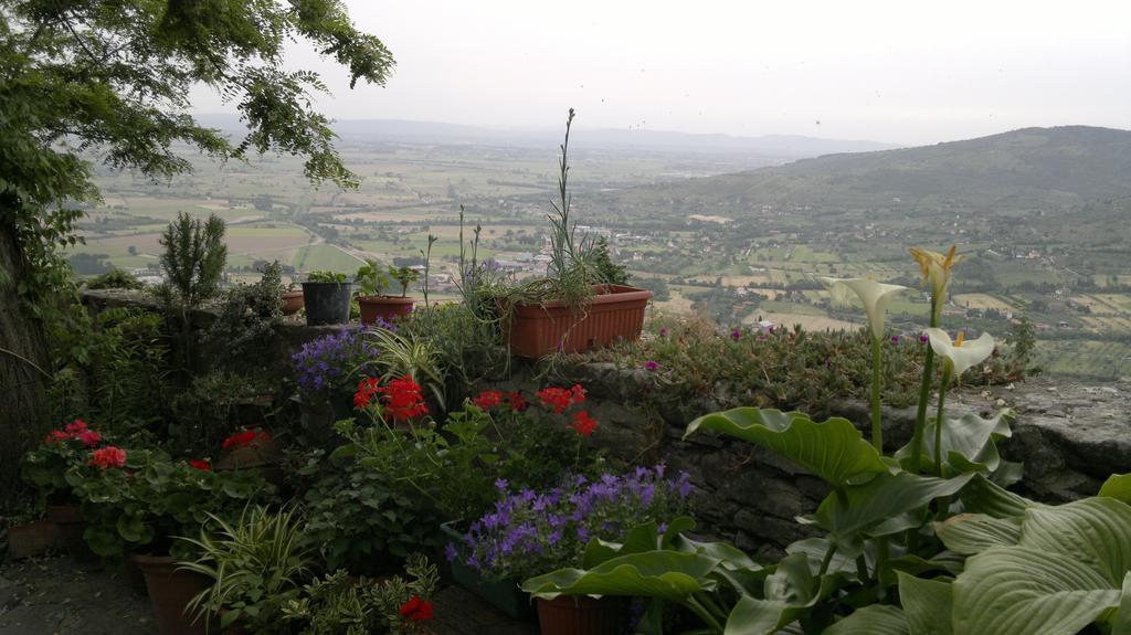 Apartmán Casa Mia A Cortona Pokoj fotografie